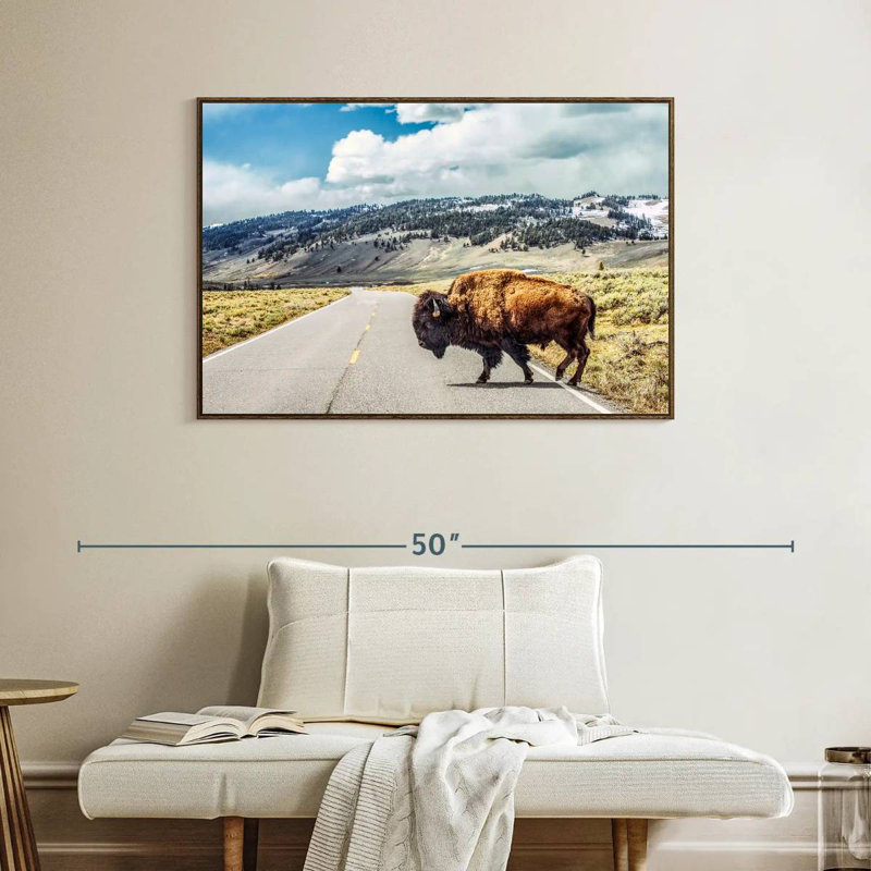 American Bison Crossing, Cadre flottant en noyer, 40 po x 27 po