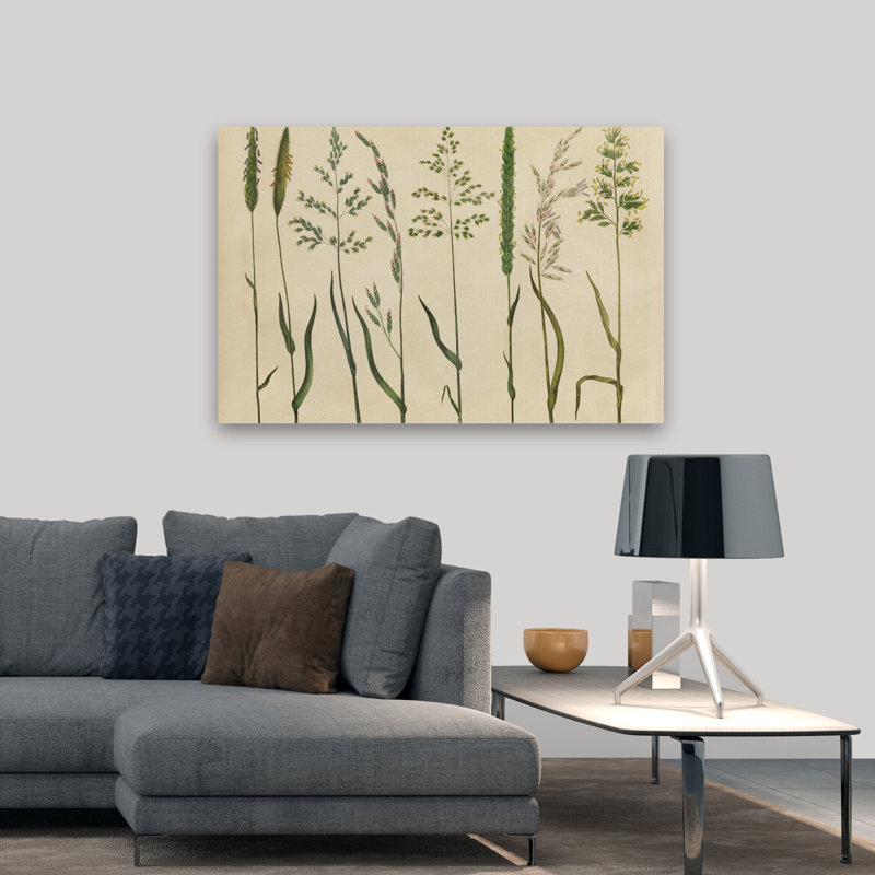Botanical Charts Foxtails - Herbal Botanical VII, H 32 po x l 48 po