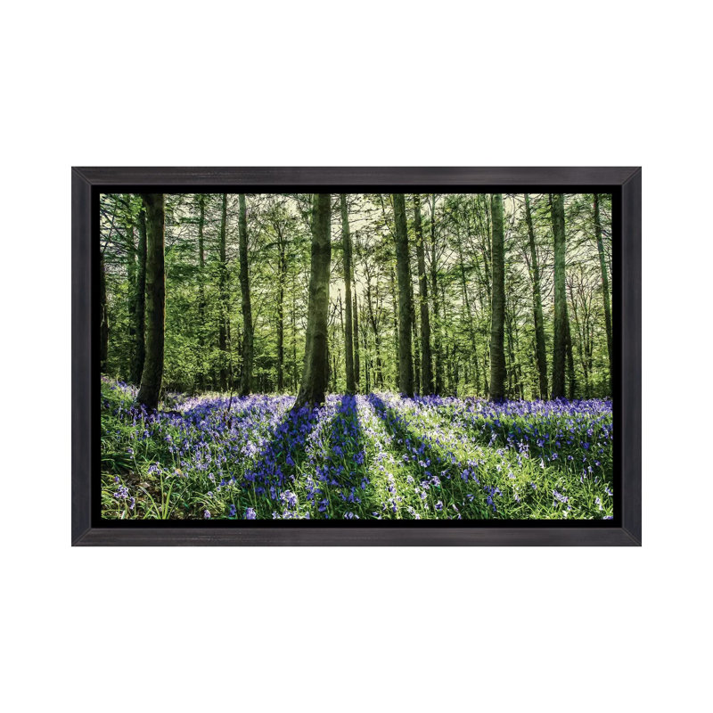 «Bluebell Wood», reproduction, H 18 po x l 26 po x P 1,5 po, Toile avec cadre noir patiné