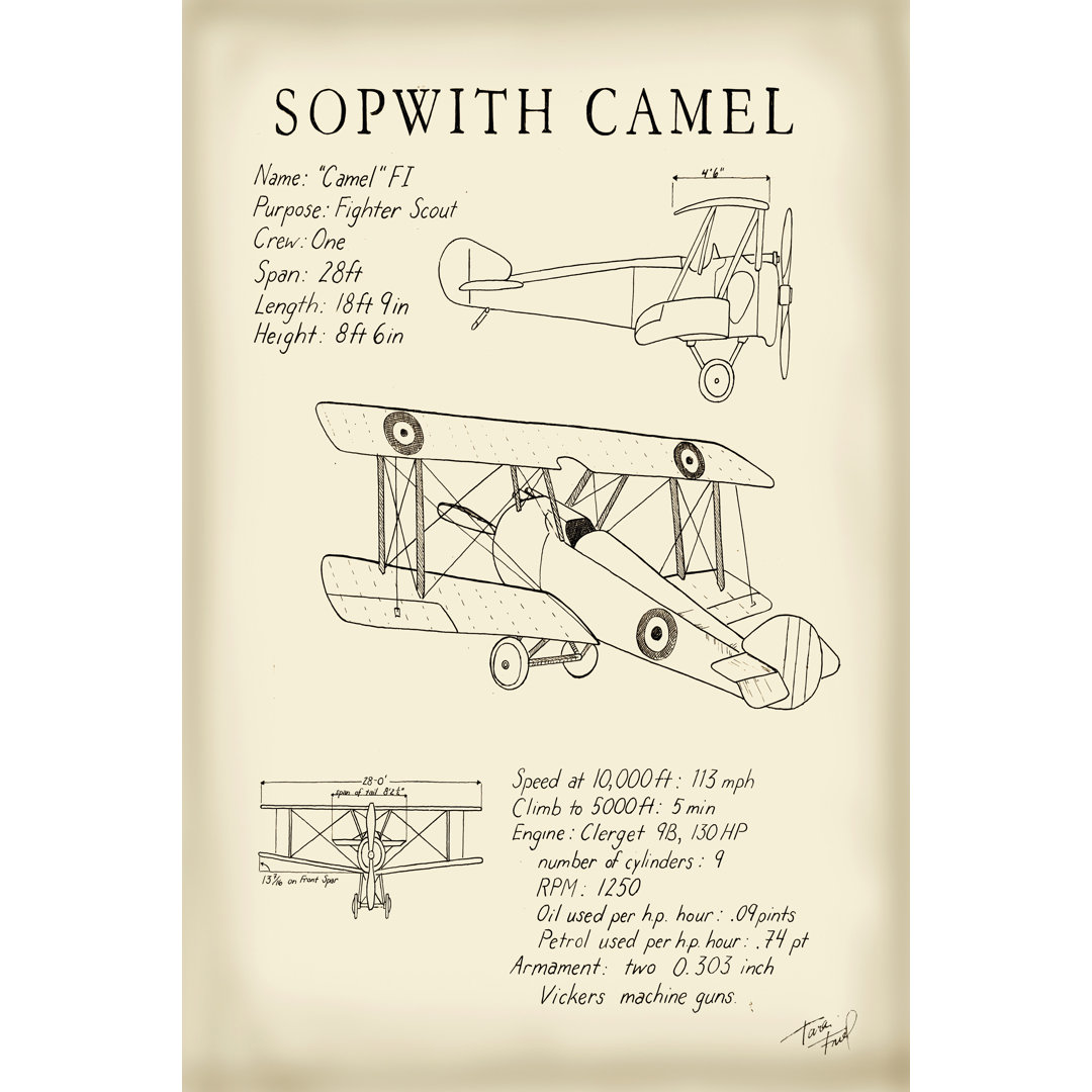 Leinwandbild Sopwith Camel