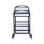 Chariot de service Colson
