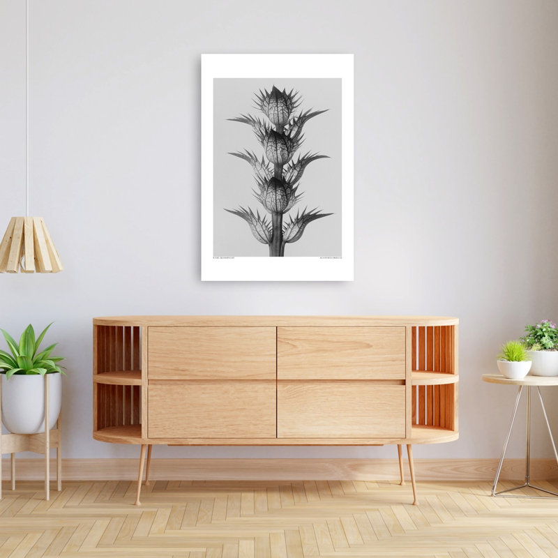 Acanthus Mollis, rétro, art mural rétro, 48" H x 32" W
