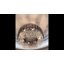 Quill 2 - Light Crystal Chandelier-1740101671