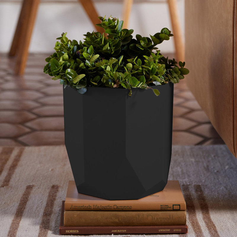 Tuxton Geometric Plastic Indoor/Outdoor Planter, Black, 9.75" x 10.13" x 10.13"
