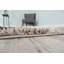 Tapis gris/brun Mahnoor-1773795842