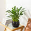 TYHPOT Ceramic Pot Planter-1035786449