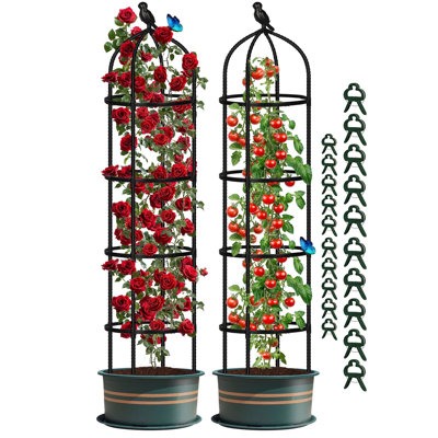 177.8cm H x 32cm W Metal Arched Trellis
