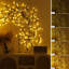 Holiday Lighting