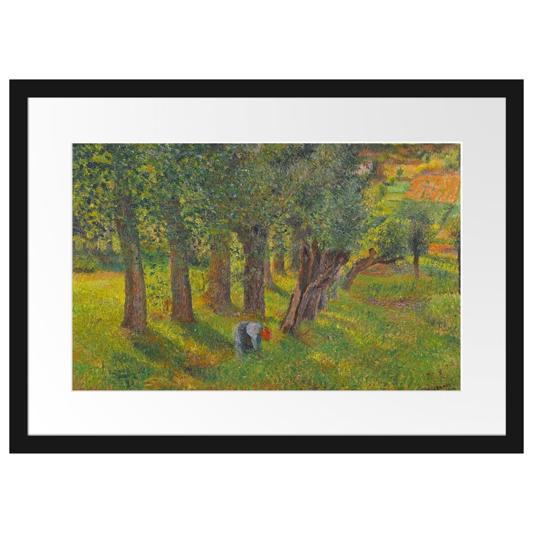 Gerahmter Kunstdruck Le Chou À Pontoise von Camille Pissarro