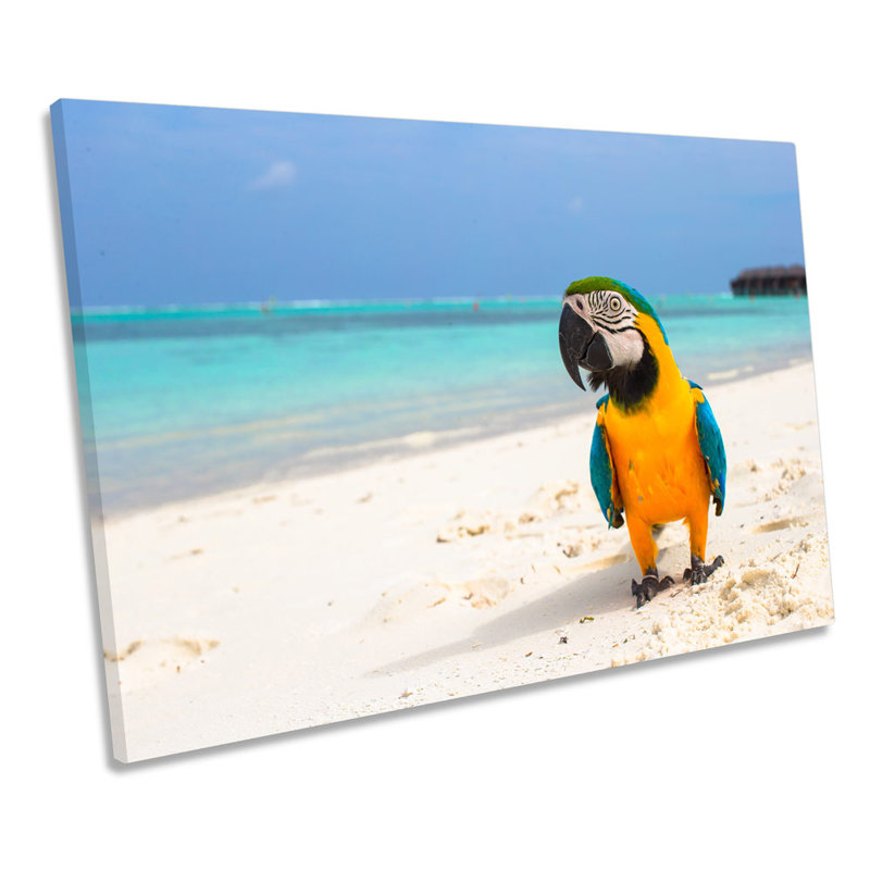 Tropical Beach Parrot - Wrapped Canvas Print, 91.4cm H x 137.2cm W