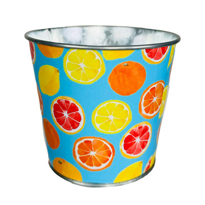 Citrus Blend Metal Planter