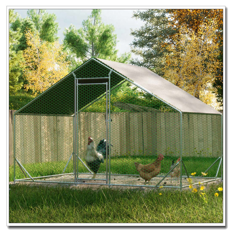 Grand poulailler en métal avec couvercle imperméable, H 79 po x l 120 po x P 79,2 po