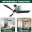 Ventilateur de plafond Flynama 52 po noir mat avec pales noires avec ventilateur 3 lumières