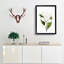 White Southern Magnolia Flower by Pierre-Joseph Redoute - Picture Frame Art Prints-55612682-55612681