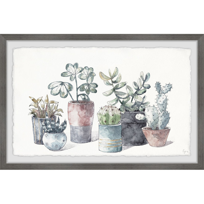 «Succulent In Show Planters», reproduction encadrée, H 8 po x l 12 po x P 1,5 po