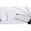 Ines 164cm Wide Patio Daybed with Cushions