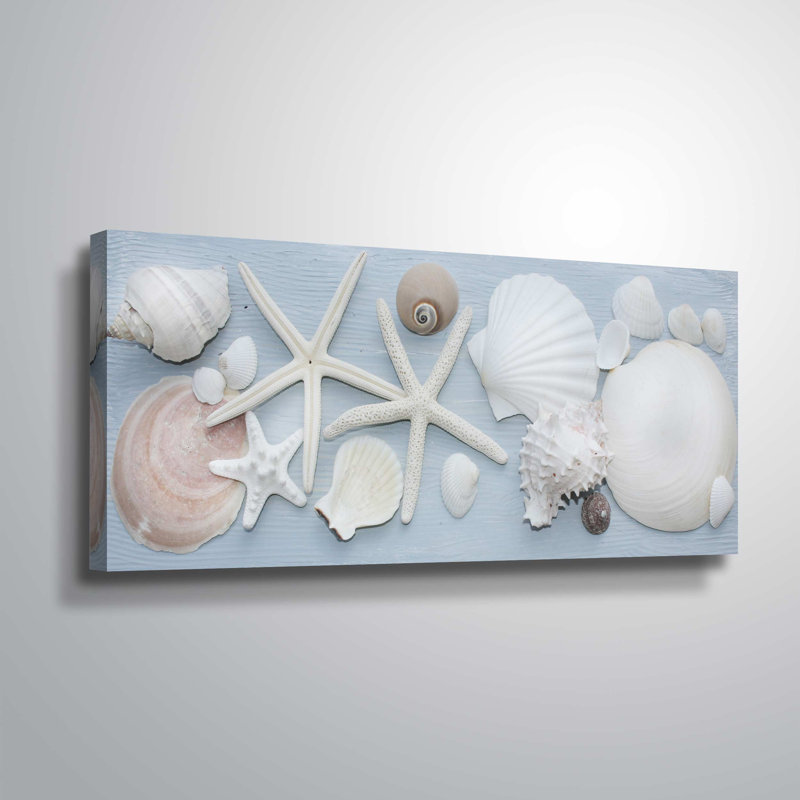 « shell land, seaside breeze »-impression sur toile, Toile tendue, H 12 po x l 24 po x P 2 po