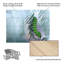 Jimmy Hoffman-113810277