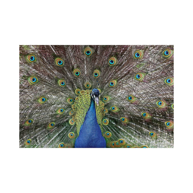 Beauty by Goran Anastasovski - Wrapped Canvas Print, 66.04 cm H x 45.72 cm W x 3.175 cm D