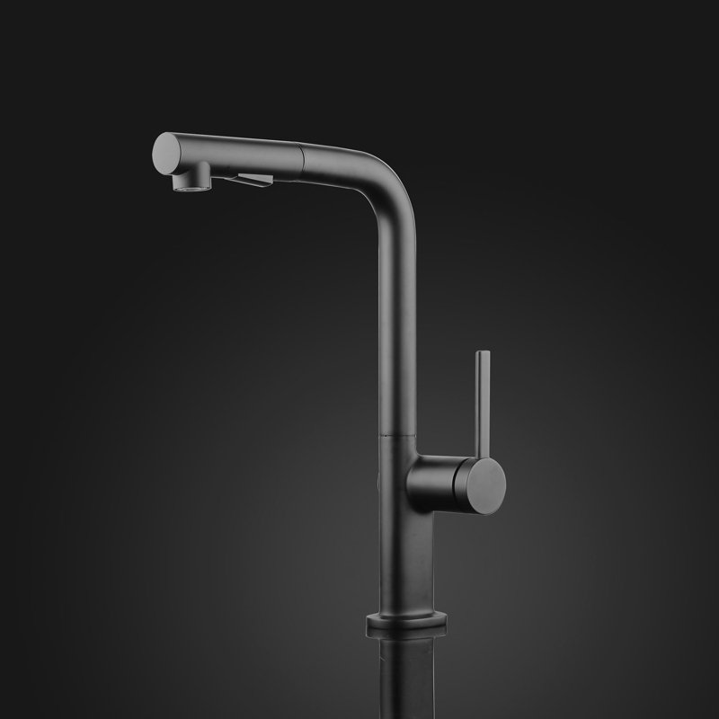 Destro Pull Out Single Handle Kitchen Faucet, Black