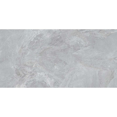 Splendor 23.7'' W x 47.25'' L Porcelain Singular Tile