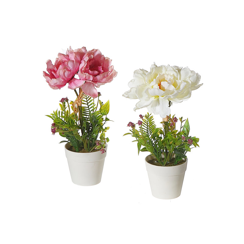 Arrangements floraux de pivoines en pot