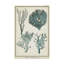 « surdimensionné corail especes ii », reproduction d’impression sur toile tendue-33521755