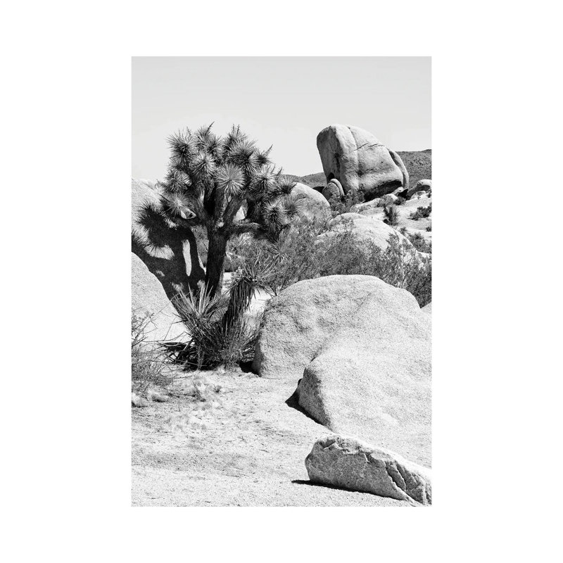Black California Series - Joshua Tree Bouldering - Wrapped Canvas Print, 20.32 cm H x 30.48 cm W