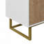 Armoire de rangement avec 2 portes