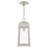 Antionetta Outdoor Hanging Lantern-448062608