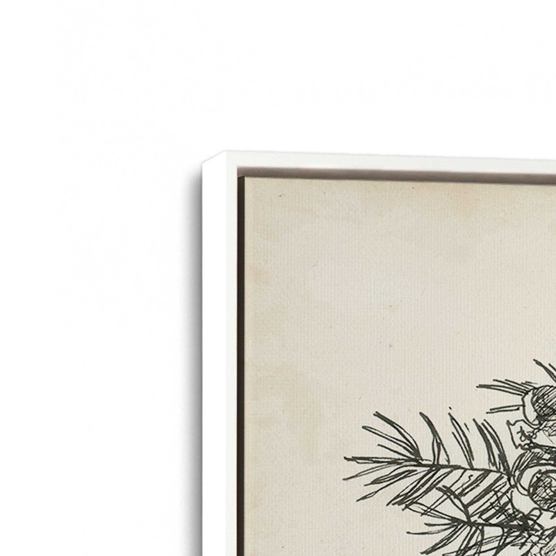 «Christmas Conifers II» par Ethan Harper, reproduction d'art sur toile, H 32 po x l 48 po, Blanc