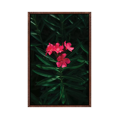 Florida Blooms by Bethany Young - Print on Canvas