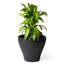 Pot Planter-98295210