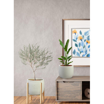  Jardinière en céramique blanc cassé Alora - Jardinière ronde moderne pour plantes d'intérieur et d'extérieur, jardin, patio, bureau, décoration de hall d'hôtel