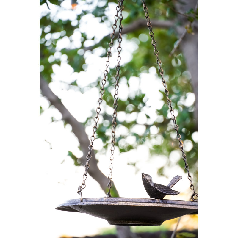 Bain d'oiseaux suspendu en aluminium coulé l 12 po, laiton antique, Laiton antique