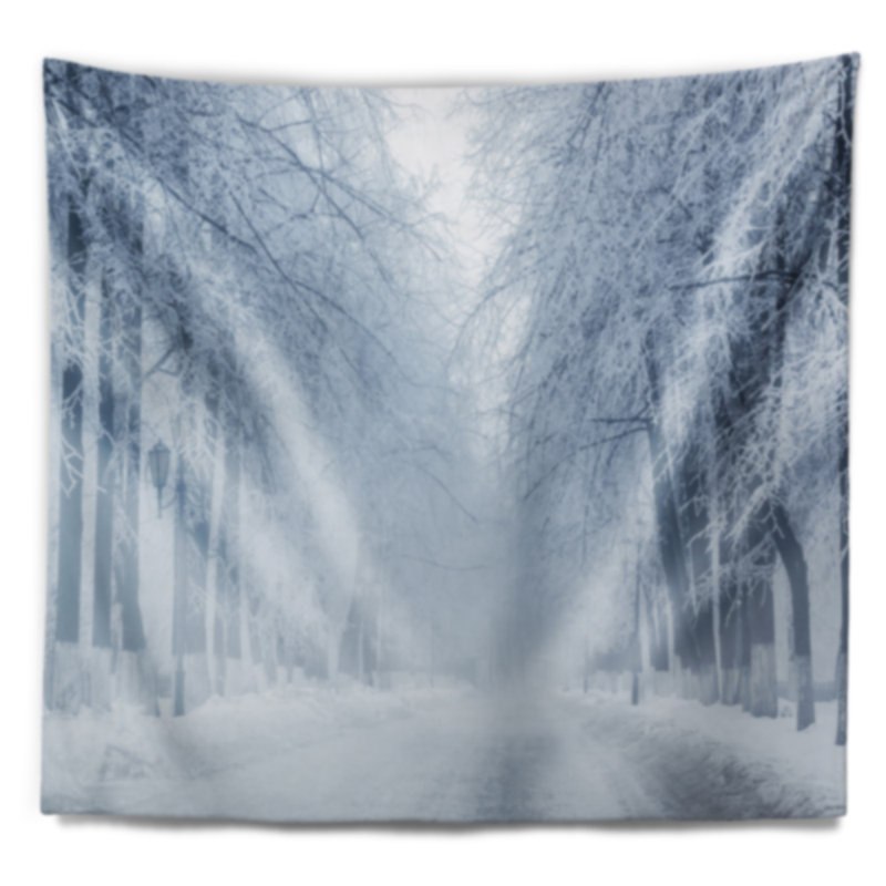 Tapisserie avec accessoires suspendus en polyester blanc routier et winter trees, H 50 po x l 60 po