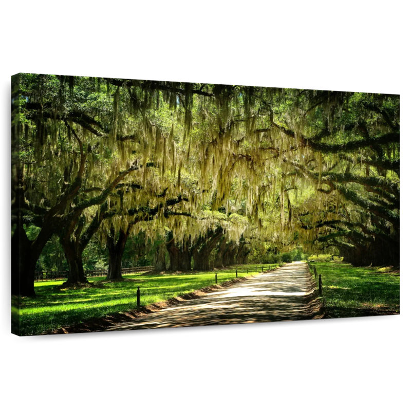 Sireci Dreamy Charleston Park, 30" H x 45" W