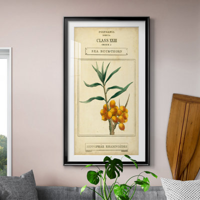 Linnaean Botany III - Peinture sur toile encadrée