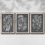 "Graphic Foliage III", ensemble de 3 toiles encadrées-97793161-97793160