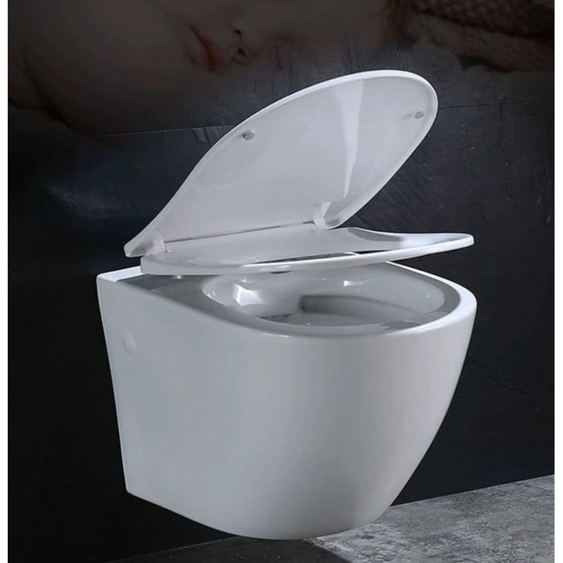 Toilette allongée murale 1 gpf (économe en eau) (assise incluse)