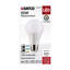 9 Watt LED Bulb