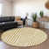Premium Machine Washable Cerrito AMF550 Gold Rug