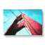 View of the Golden Gate Bridge in San Francisco - Wrapped Canvas-55302834