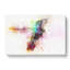 Hummingbird Paint Splash In Abstract - Wrapped Canvas-55309322