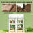 Portable Greenhouse,Spacious Mini Greenhouse-128848310