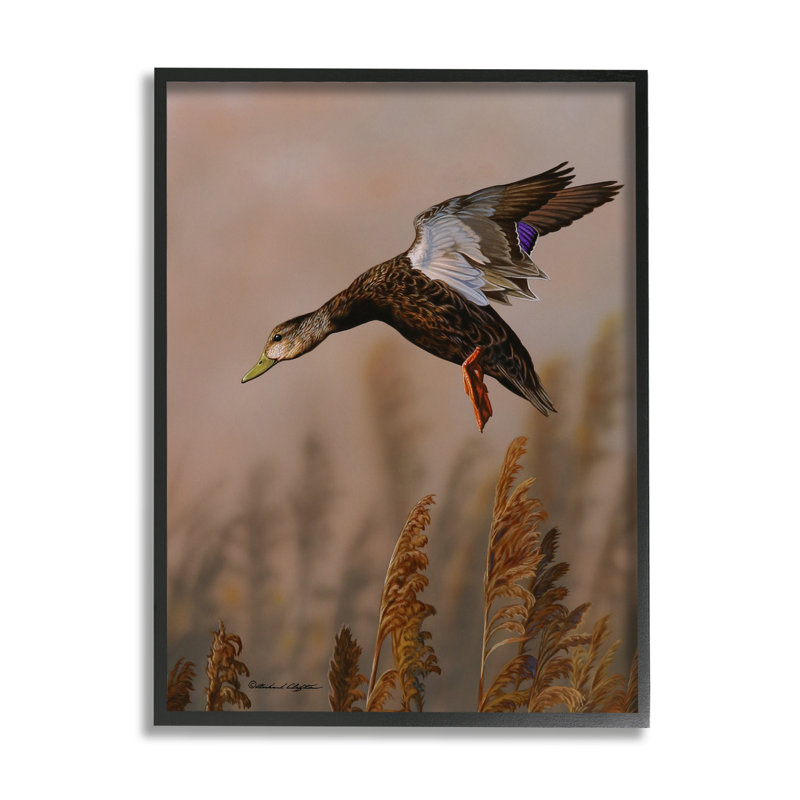 «Duck Flying» par Richard Clifton, H 20 po x l 16 po x P 1,5 po, Giclée encadrée noir minuit