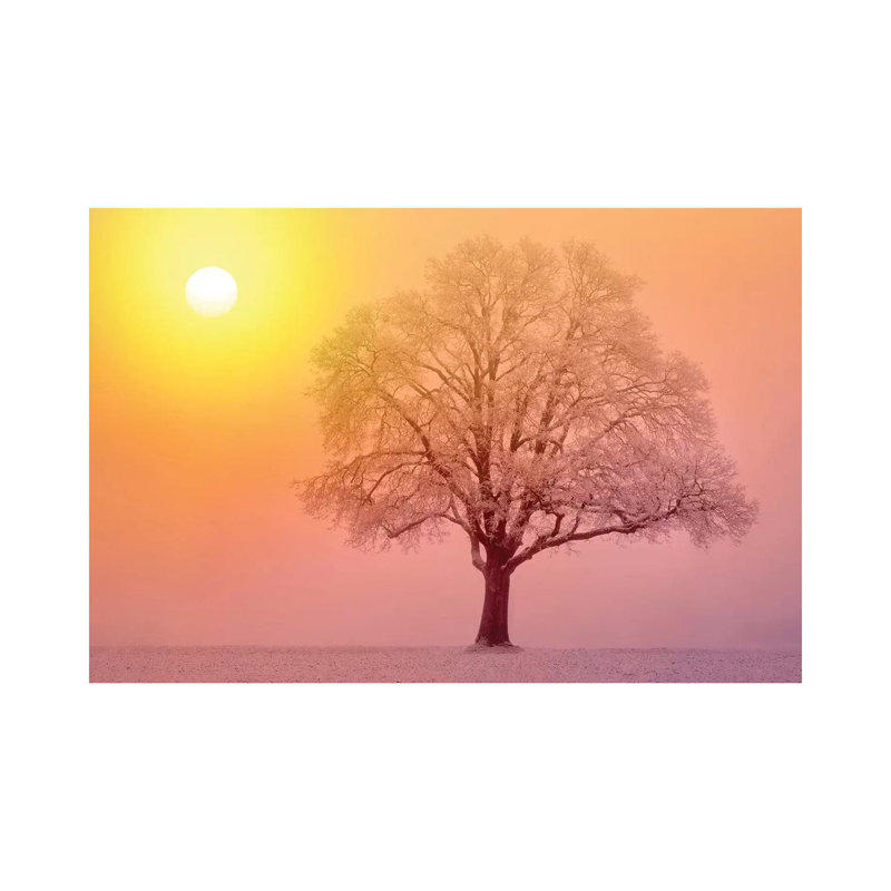 Lone Tree Sunrise by Dennis Frates - Wrapped Canvas Gallery-Wrapped Canvas Giclée, 20.32 cm H x 30.48 cm W
