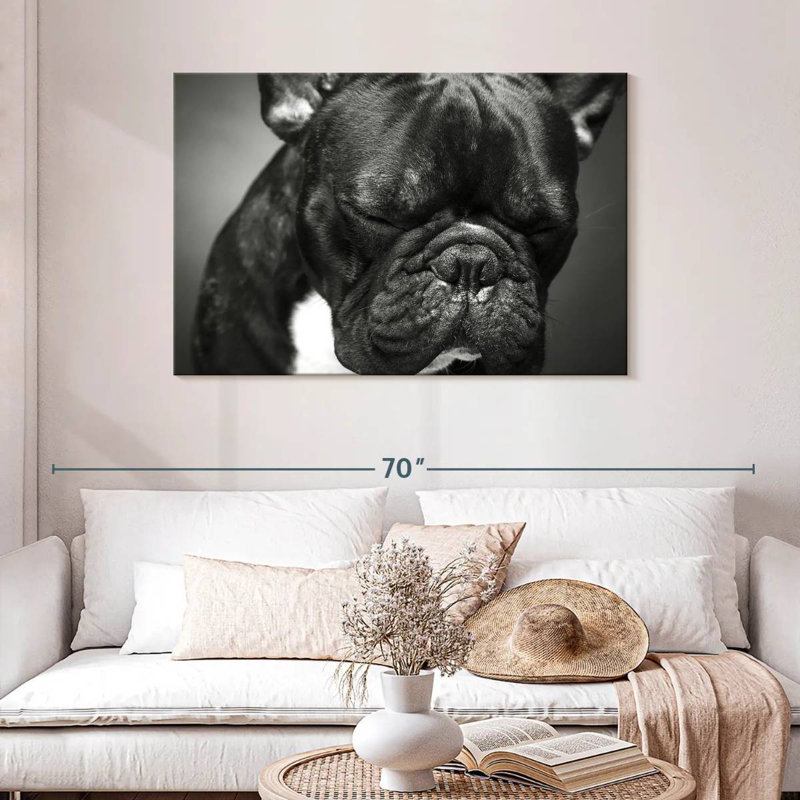 Bouledogue français mélancolique Brampt, H 30 po x l 45 po