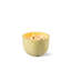 Fleurs Candle. Gardens Of Valencia Scent