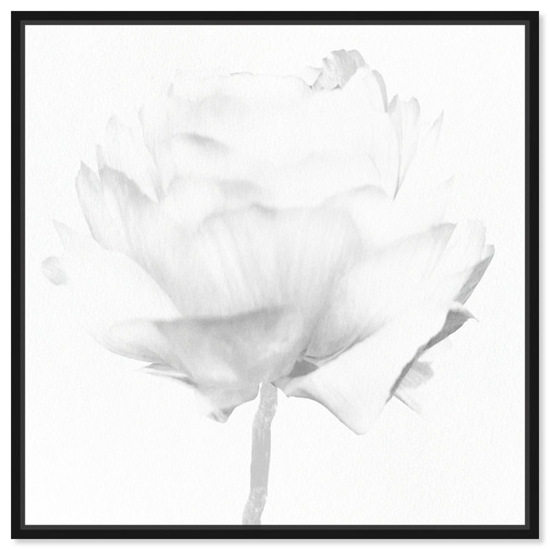 White Peony due Florals - reproduction d'art sur toile, Toile avec cadre noir, H 12 po x l 12 po